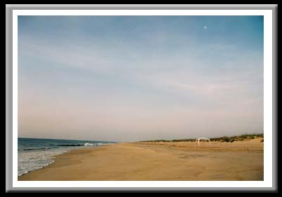 191 Cabana with Moon, Cape Hatteras National Seashore, North Carolina