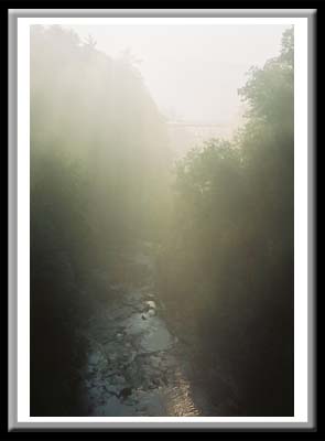 178 Suspension Bridge Cornell University Ithaca New York