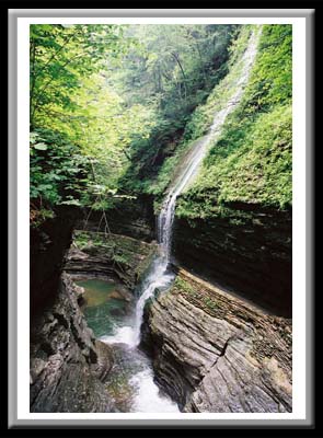 064 Water Falling thru Trees, Watkins Glen State Park, Watkins Glen, New York