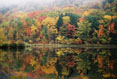 169 Fall Reflections, Binghamton University Nature Preserve, Binghamton, New York